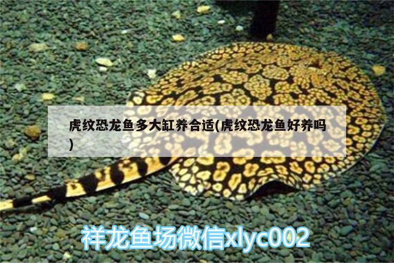 魚缸設(shè)備安裝圖解大全 魚缸設(shè)備安裝圖解大全集