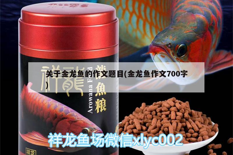 吳忠龍魚批發(fā)市場（吳忠龍魚批發(fā)市場在哪里）