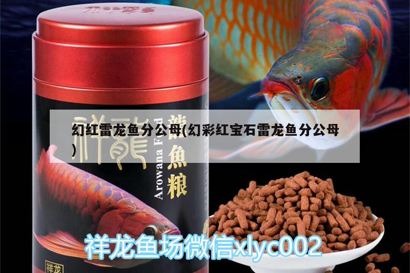 魚缸增氧泵不出泡沫怎么辦（魚缸增氧泵不出泡沫怎么辦視頻） 其他品牌魚缸