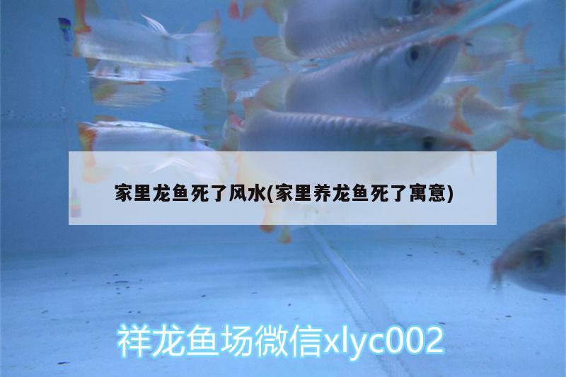 家里龍魚死了風水(家里養(yǎng)龍魚死了寓意) 魚缸風水