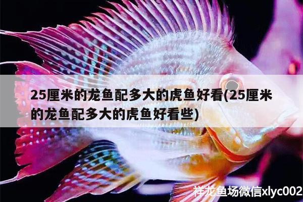 平湖市鼎沁水族館 全國水族館企業(yè)名錄 第4張