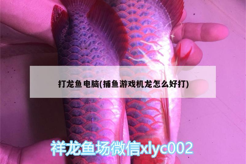 打龍魚(yú)電腦(捕魚(yú)游戲機(jī)龍?jiān)趺春么?