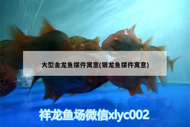 大型金龍魚擺件寓意(銀龍魚擺件寓意)