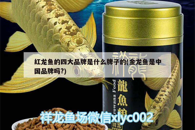 紅龍魚的四大品牌是什么牌子的(金龍魚是中國品牌嗎?)