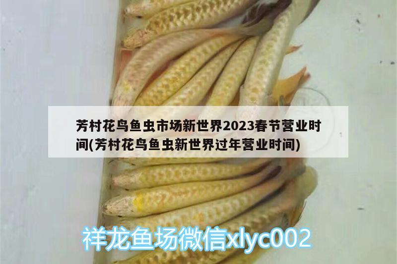 芳村花鳥魚蟲市場新世界2023春節(jié)營業(yè)時間(芳村花鳥魚蟲新世界過年營業(yè)時間) 虎魚百科