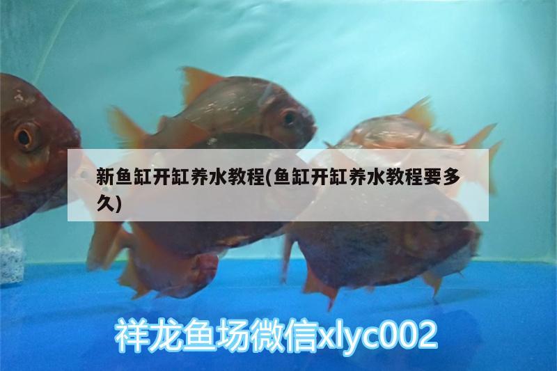 新魚(yú)缸開(kāi)缸養(yǎng)水教程(魚(yú)缸開(kāi)缸養(yǎng)水教程要多久)