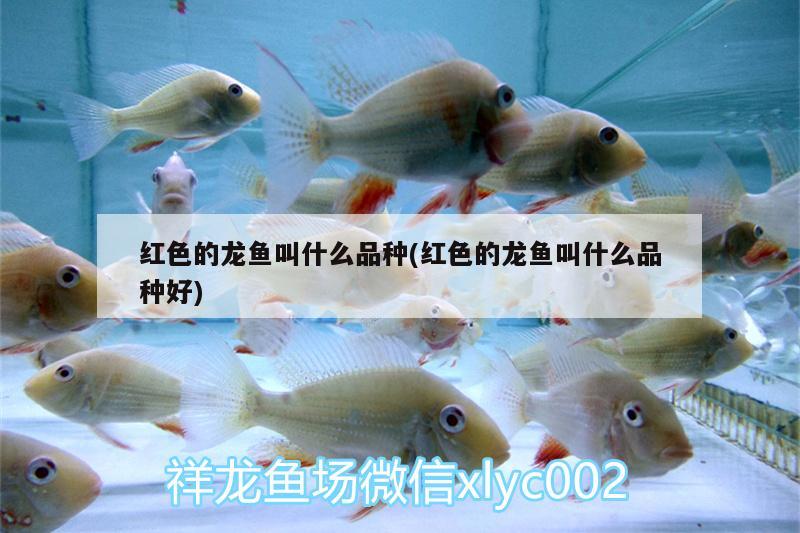 安慶魚缸制作廠家電話多少啊：安慶市魚缸專賣