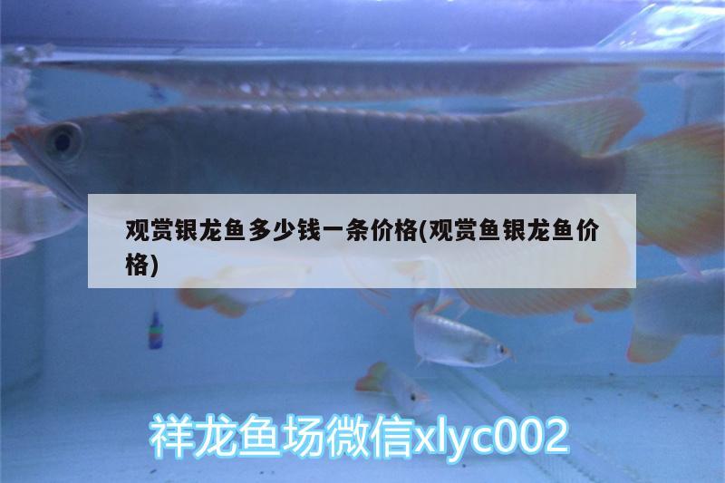 楊凌魚(yú)缸售后維護(hù)