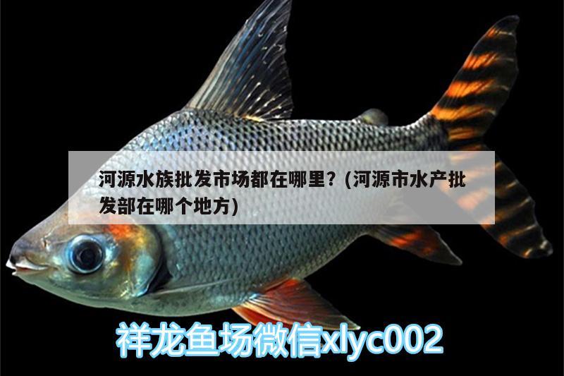 河源水族批發(fā)市場都在哪里？(河源市水產(chǎn)批發(fā)部在哪個(gè)地方) 觀賞魚水族批發(fā)市場 第1張