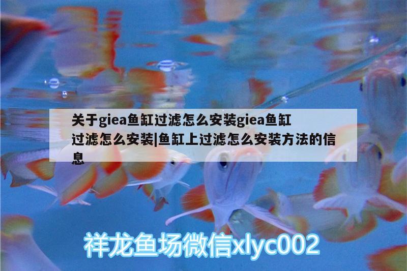 作最早的意思是什么，甲骨文用什么工具刻成