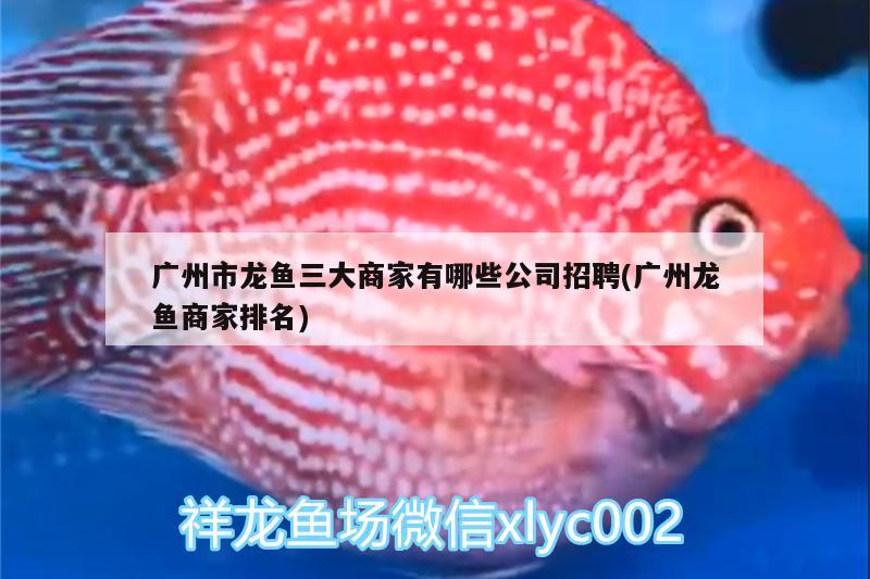 魚缸里放小蘇打有什么用(魚缸里面加小蘇打會不會死魚)