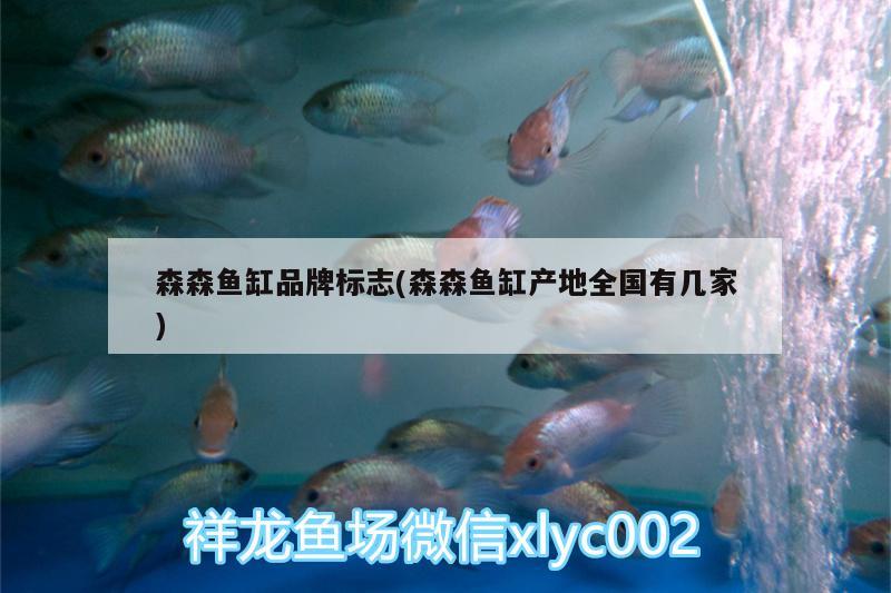 森森魚缸品牌標志(森森魚缸產地全國有幾家) 朱巴利魚