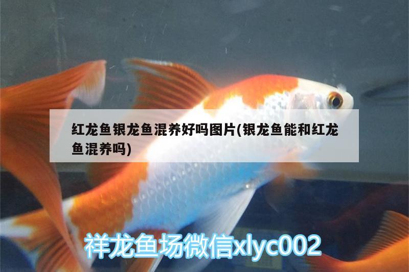 2023水族展會(2020年中國水族館展會)