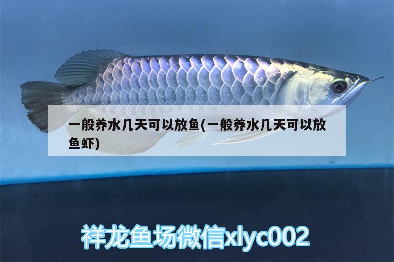 一般養(yǎng)水幾天可以放魚(一般養(yǎng)水幾天可以放魚蝦)