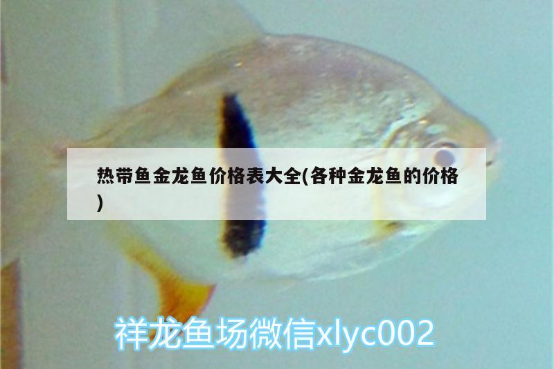 熱帶魚金龍魚價格表大全(各種金龍魚的價格) 沖氧泵