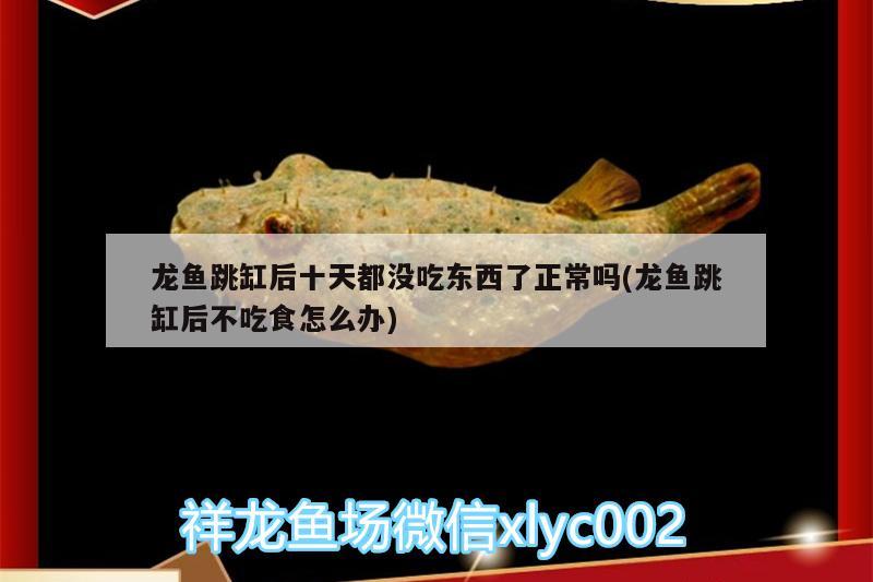 連云港觀賞魚(yú)市場(chǎng)新手提問(wèn):每次換水后都需要加藥預(yù)防嗎？加什么藥？