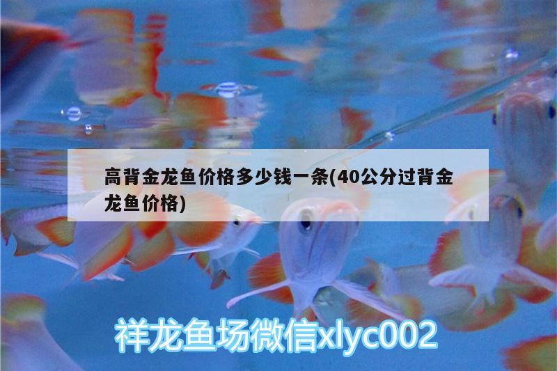 定州二手魚缸轉(zhuǎn)讓電話地址及電話 定州二手魚缸轉(zhuǎn)讓電話地址及電話號(hào)碼