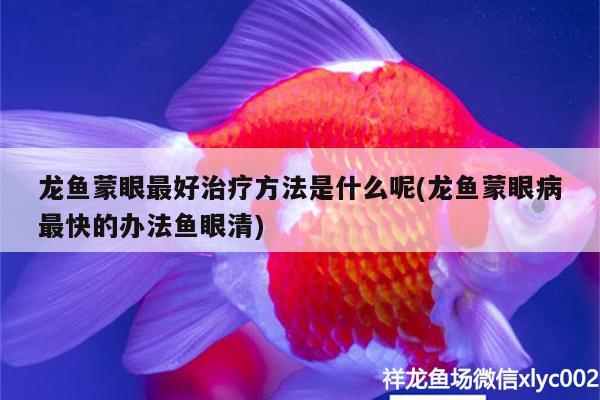 黃化銀龍魚會褪色嗎圖片（黃化銀龍怎么樣發(fā)色） 銀龍魚 第1張