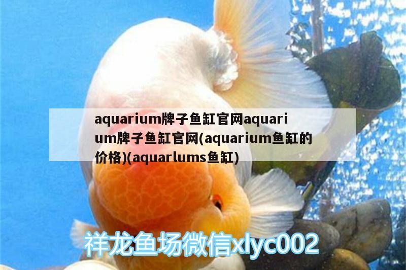 aquarium牌子魚缸官網(wǎng)aquarium牌子魚缸官網(wǎng)(aquarium魚缸的價格)(aquarlums魚缸)