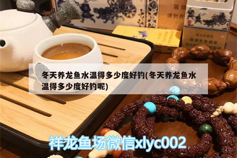 冬天養(yǎng)龍魚水溫得多少度好釣(冬天養(yǎng)龍魚水溫得多少度好釣?zāi)? 垂釣樂園