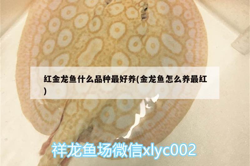 魚缸過濾器怎么拆洗？魚缸過濾器怎么清洗？，家庭魚缸過濾器怎么拆開清洗魚缸過濾器怎么拆開清洗