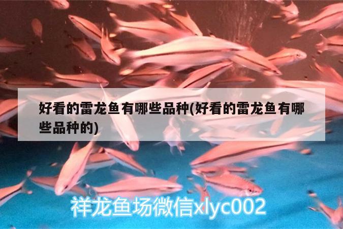 武漢魚缸回收公司有哪些電話號：武漢專業(yè)做魚缸電話