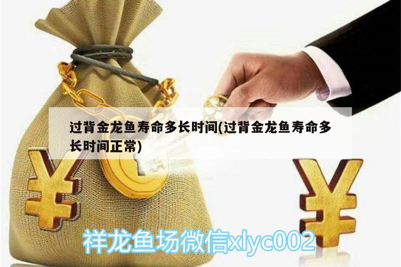 過背金龍魚壽命多長(zhǎng)時(shí)間(過背金龍魚壽命多長(zhǎng)時(shí)間正常) 金龍魚百科 第3張