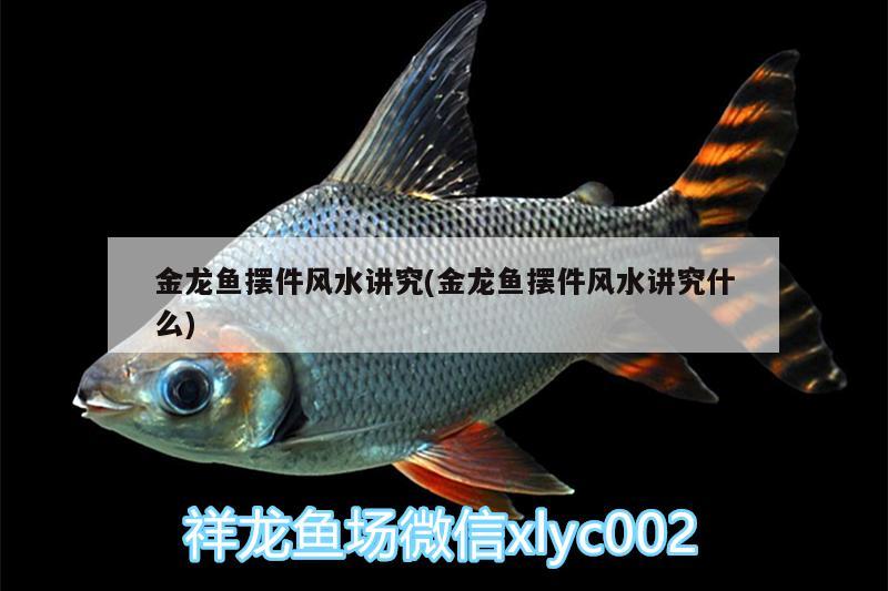 金龍魚擺件風(fēng)水講究(金龍魚擺件風(fēng)水講究什么)