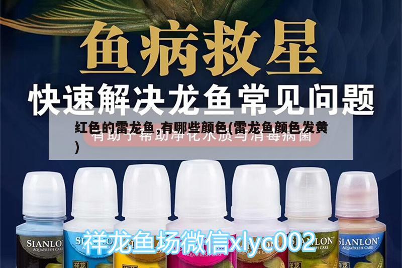 草金魚長大后的樣子（草金魚不用氧氣能活嗎） 充氧泵 第2張