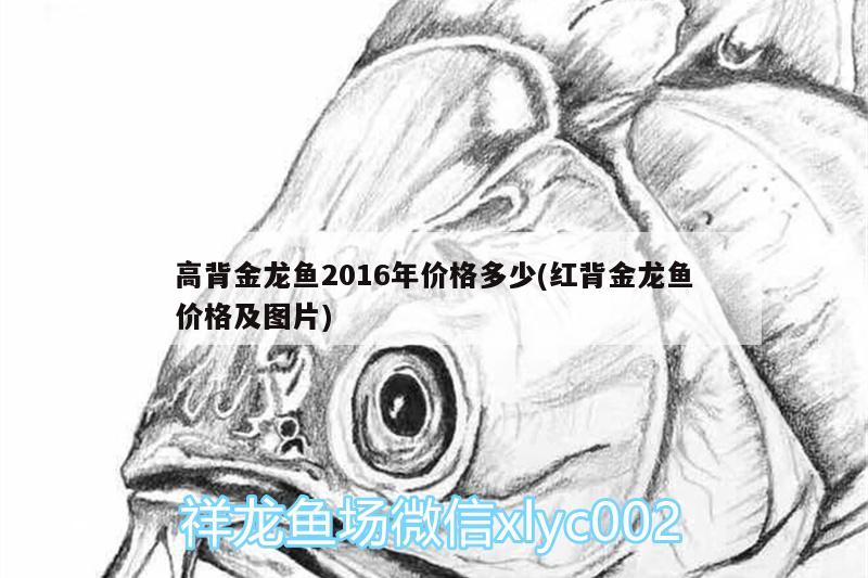 58同城魚缸水族箱回收電話號碼查詢（誰知道魚缸的保修年限） 魚缸/水族箱 第1張