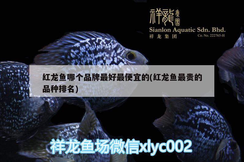 巴音郭楞蒙古自治州水族批發(fā)市場:什么地方收購釣魚用的魚蟲