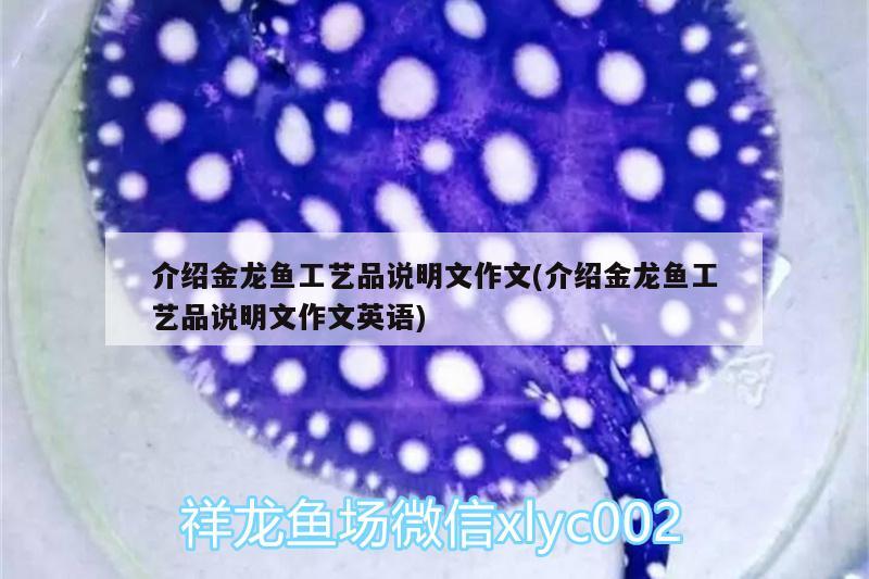 介紹金龍魚工藝品說明文作文(介紹金龍魚工藝品說明文作文英語) 水族世界