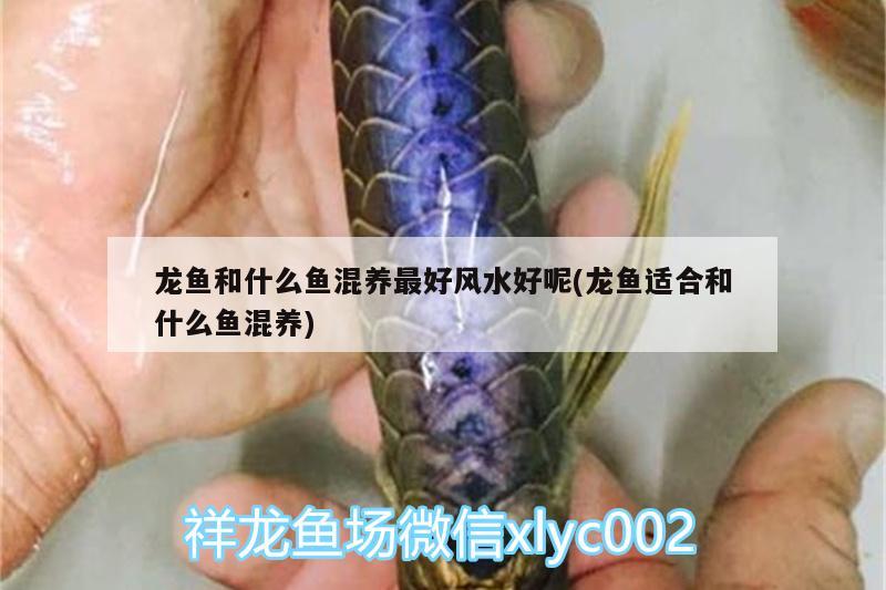 太原玻璃魚缸的價(jià)格誰能告知，請(qǐng)問下什么牌子的超白魚缸好