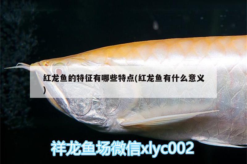 保定魚缸清理電話多少錢(保定魚缸清理電話多少錢一個(gè))