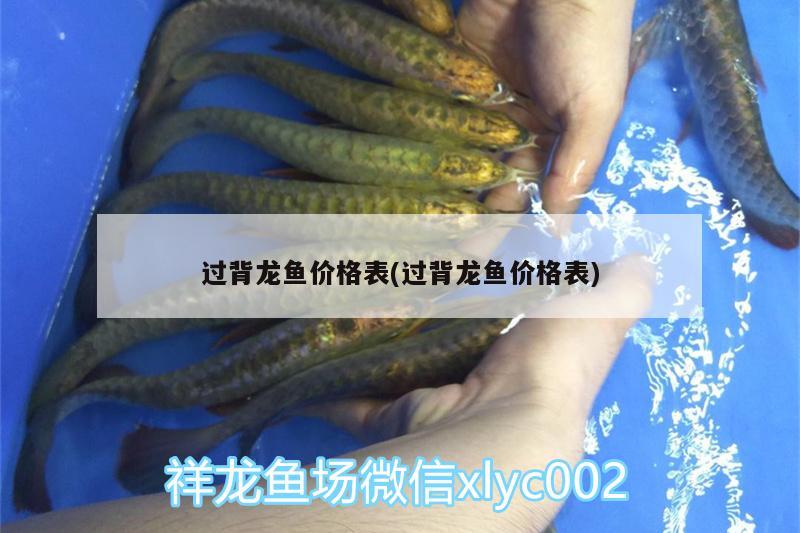 過背龍魚價(jià)格表(過背龍魚價(jià)格表)