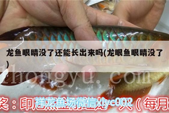 金龍魚花生油4升多少錢一瓶 金龍魚花生油四升多少錢 龍魚之家 第1張