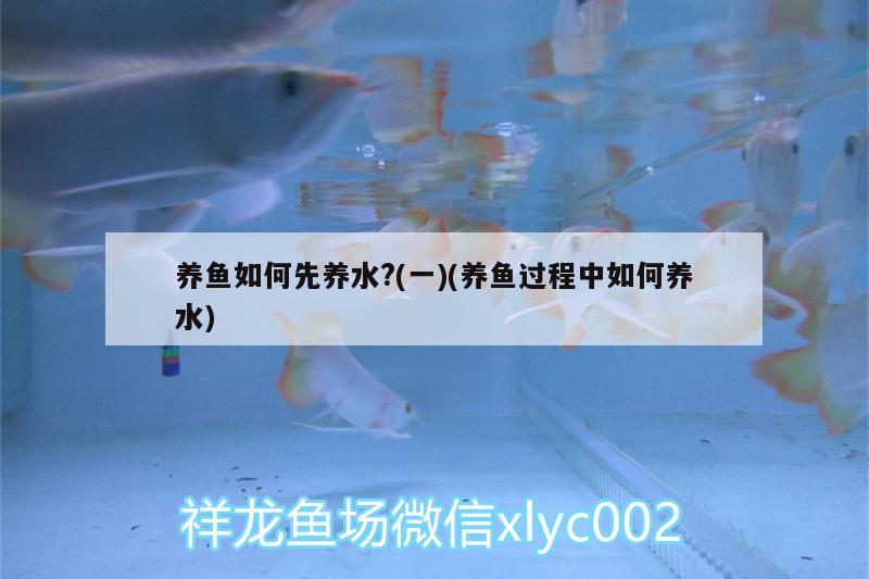 養(yǎng)魚如何先養(yǎng)水?(一)(養(yǎng)魚過程中如何養(yǎng)水)