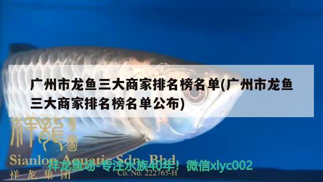 廣州市龍魚(yú)三大商家排名榜名單(廣州市龍魚(yú)三大商家排名榜名單公布) 馬拉莫寶石魚(yú)苗