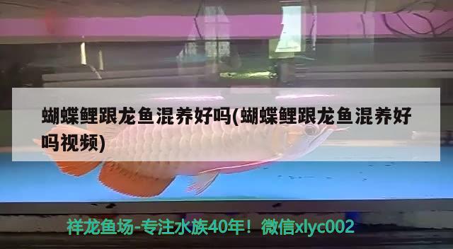 巢湖市曉明漁具水族商行（巢湖漁具店地址）