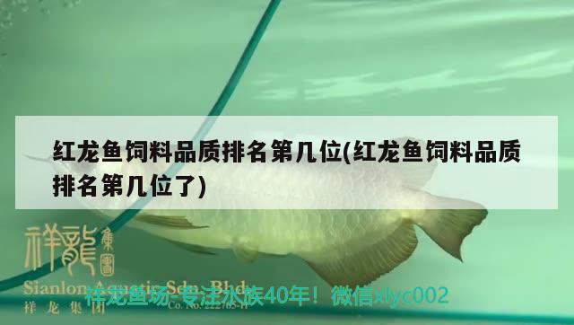 綠虎皮魚（翡翠綠虎皮魚） 虎魚百科 第1張