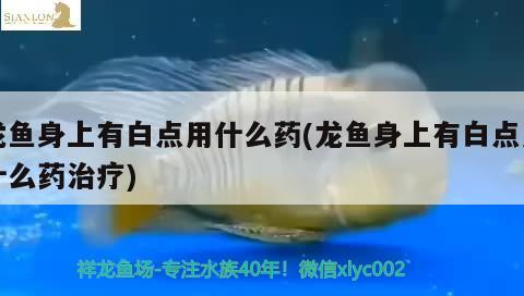 港務(wù)區(qū)魚(yú)缸訂做(連云港魚(yú)缸定制)