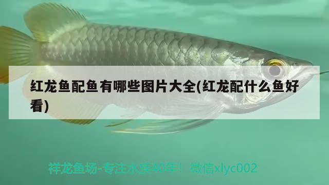 威海魚缸生產(chǎn)廠家電話多少號(hào)：威海魚缸批發(fā)市場(chǎng)在哪里