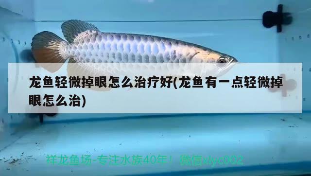 龍魚(yú)輕微掉眼怎么治療好(龍魚(yú)有一點(diǎn)輕微掉眼怎么治) 潛水艇魚(yú)