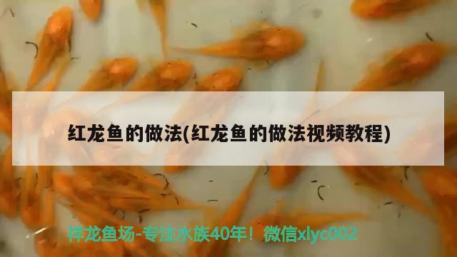 紅龍魚的做法(紅龍魚的做法視頻教程)