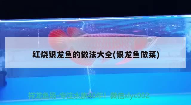 廣州哪里買金龍魚便宜些呢(廣州買金龍魚去哪里便宜) 赤荔鳳冠魚