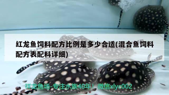 紅龍魚飼料配方比例是多少合適(混合魚飼料配方表配料詳細(xì)) 申古三間魚