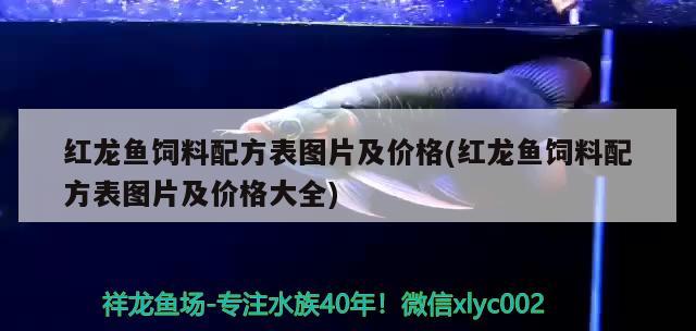 紅龍魚飼料配方表圖片及價(jià)格(紅龍魚飼料配方表圖片及價(jià)格大全)