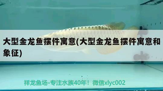 大型金龍魚擺件寓意(大型金龍魚擺件寓意和象征)