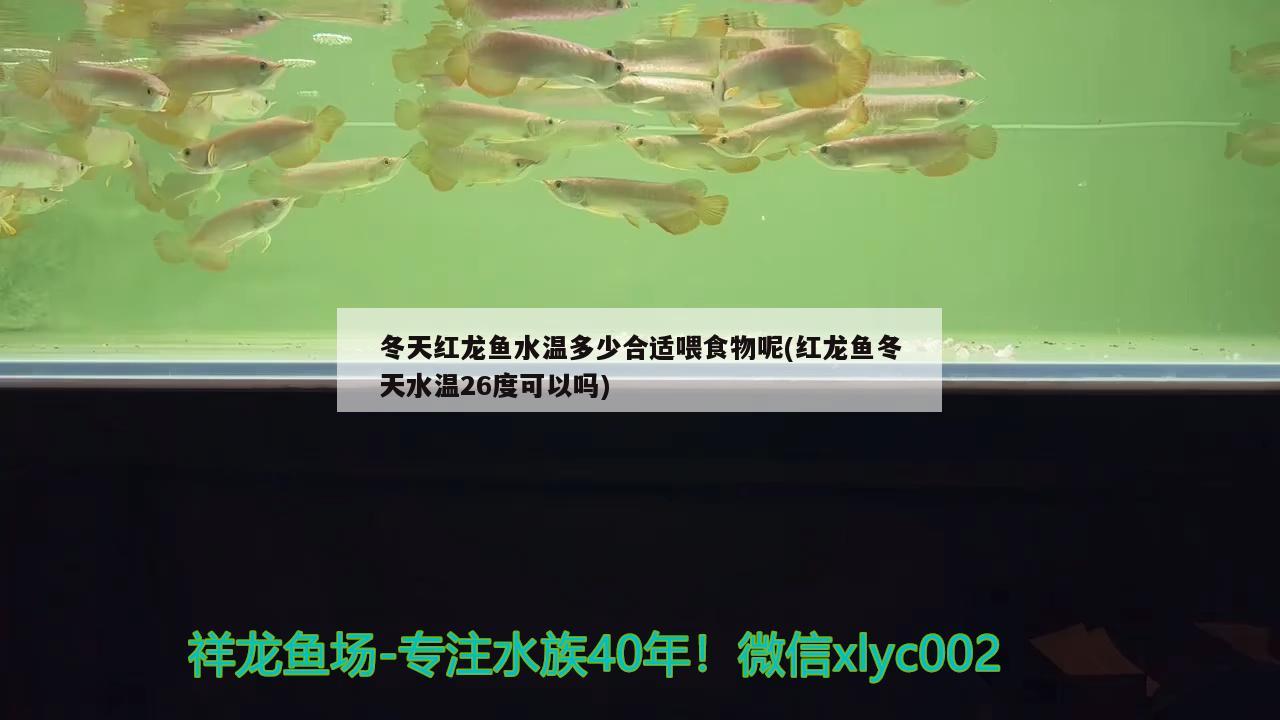 一米八的魚缸適合的過濾器尺寸，一米八的魚缸用多大過濾器選擇過濾器的工作原理 大嘴鯨魚 第2張