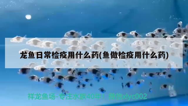 龍魚日常檢疫用什么藥(魚做檢疫用什么藥)